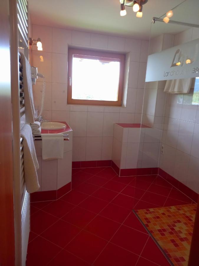 Landhaus Wieser Ramsau am Dachstein Dış mekan fotoğraf