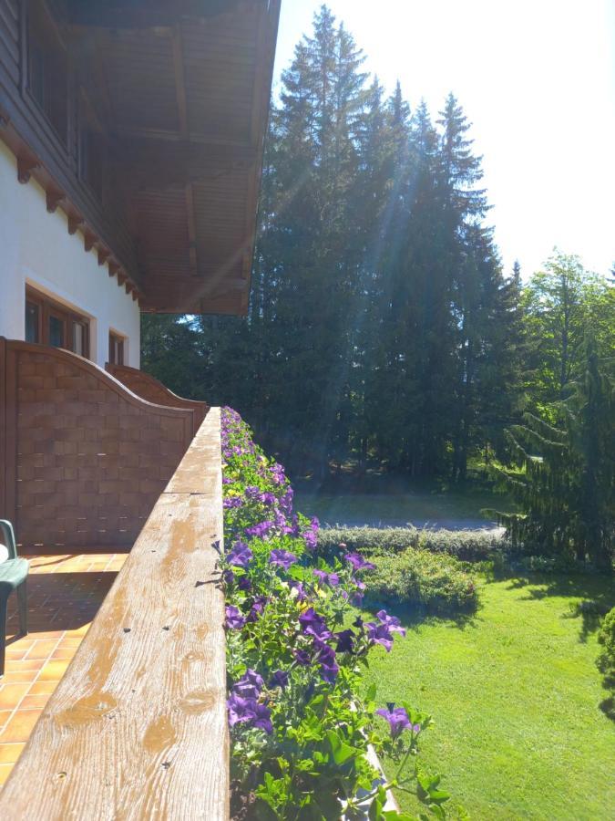 Landhaus Wieser Ramsau am Dachstein Dış mekan fotoğraf