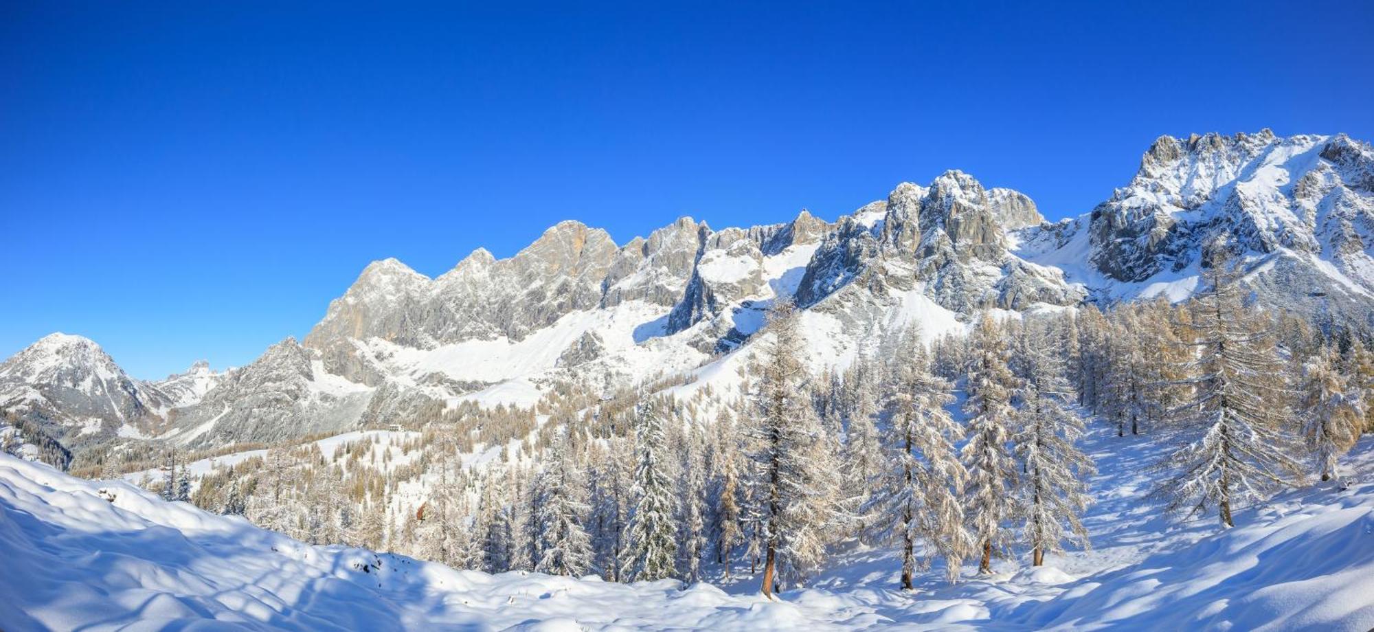 Landhaus Wieser Ramsau am Dachstein Dış mekan fotoğraf